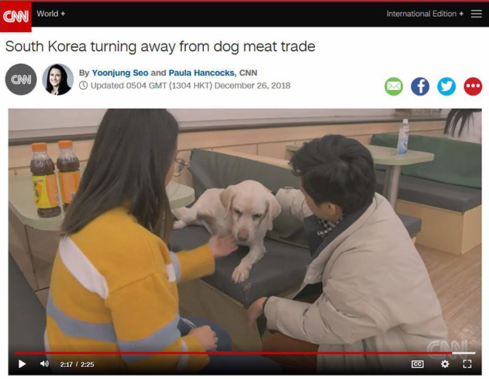 CNN on Dec. 26 reports that the consumption of dog meat in Korea has plummeted while the number of Koreans with dogs as pets has surged. (CNN)
