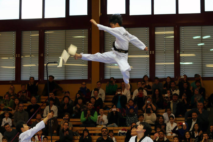 20151102_berlintaekwondo_02.jpg