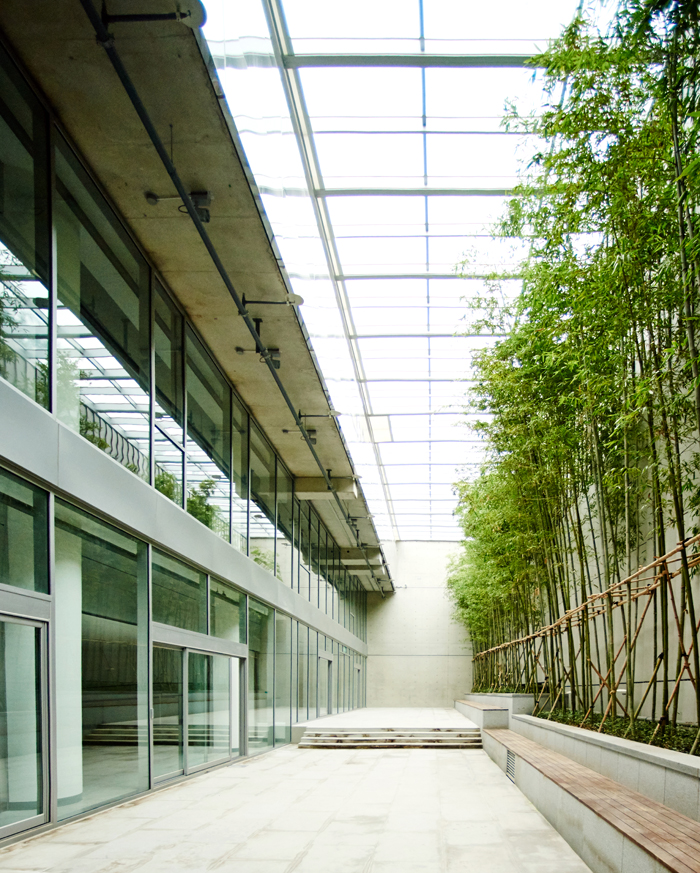 20151123_article_bamboos.jpg