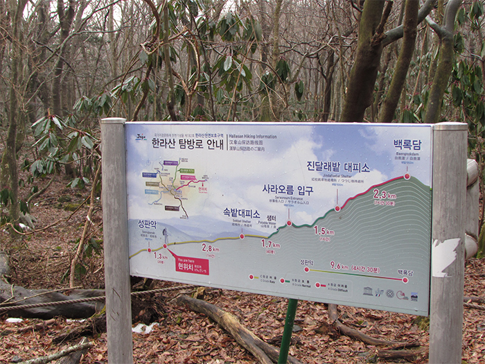 Hallasan Mountain is 1,950 meters high. It is the highest mountain in South Korea.