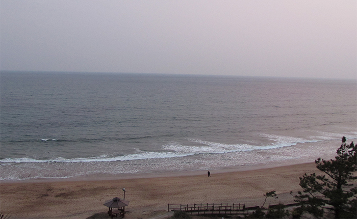 You can visit the Jungmun Beach which can be found near the Teddy Bear Museum.