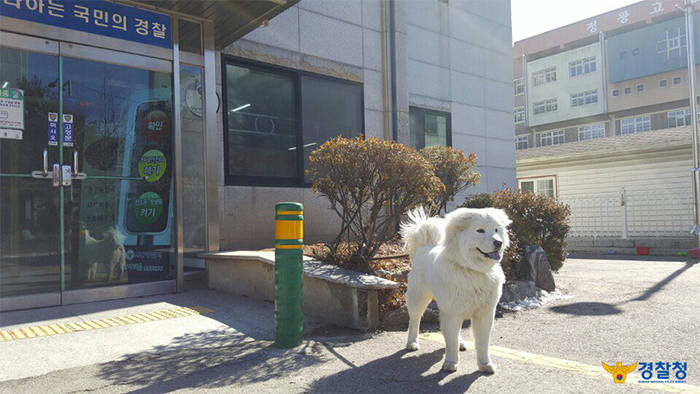 Okdori, mascot of the Okgu Patrol Division in Siheung, Gyeonggi-do, is a popular star among both the police officers themselves and the neighborhood's residents.