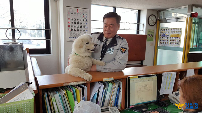 Due to Okdori's charm, the police station has a more relaxed atmosphere.