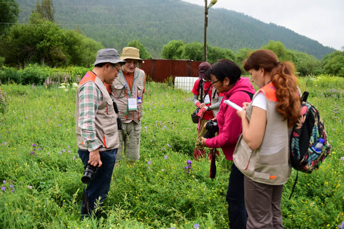 20160727_Forestry_Mongolia_00.jpg