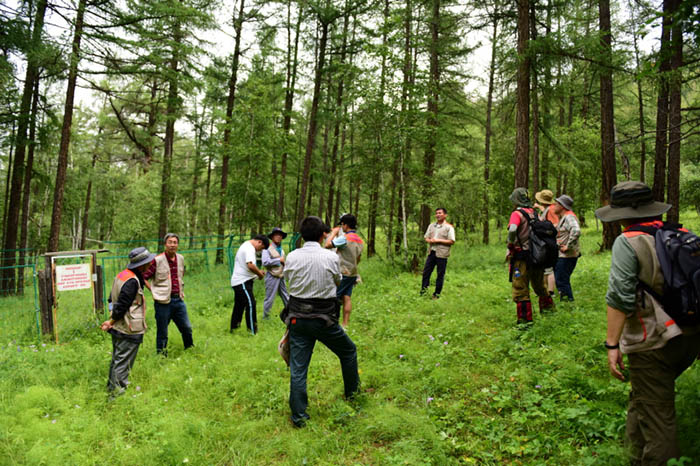 20160727_Forestry_Mongolia_02.jpg