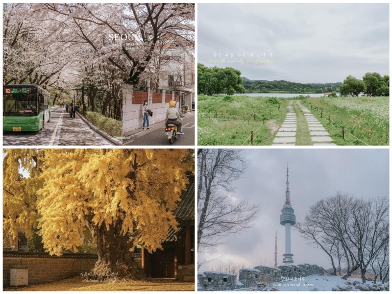 Snapshots of Korea's four seasons (Dreamblue's Facebook page)