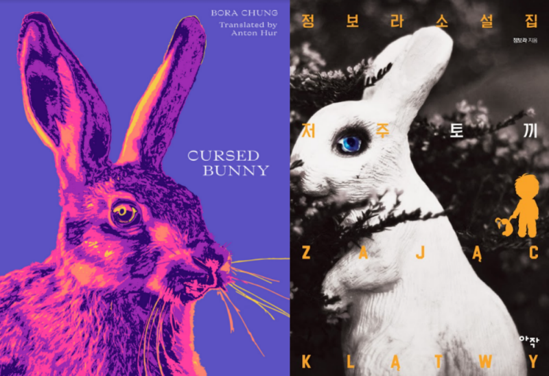 These are the covers of the English- (left) and Korean-language (right) editions of Chung Bora's short story collection 