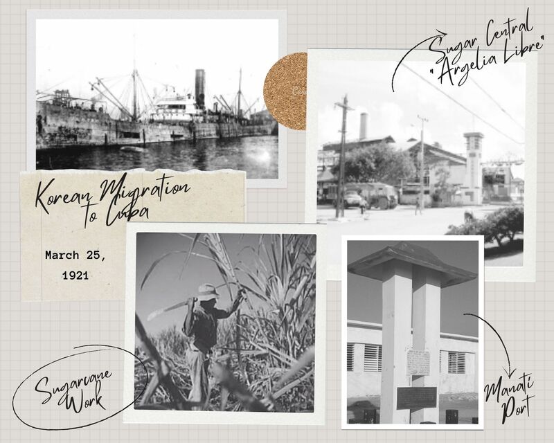 Korean migration to Cuba: 300 Koreans left Yucatan on the steamship Tamaulipas and arrived at the shores of the Manatí port, Las Tunas, on March 25, 1921. Source: Alliance of Korean Descendants Mexico - Cuba A.C.