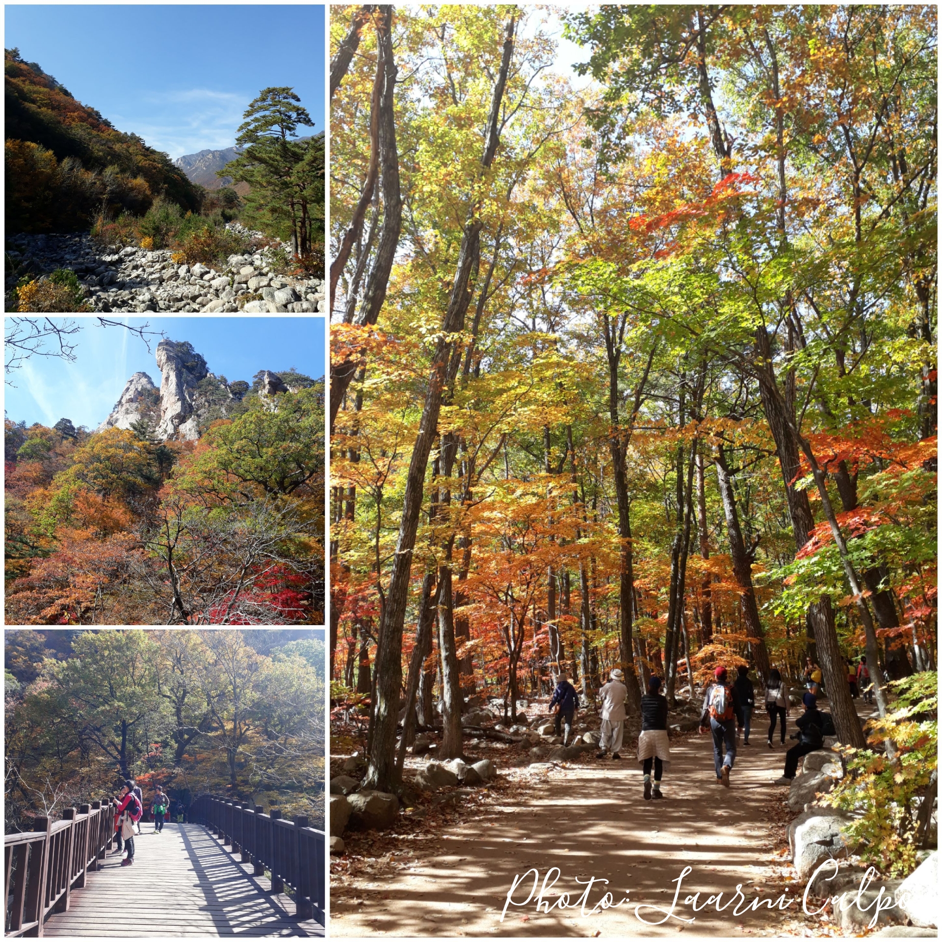 Autumn foliage in Seoraksan National Park. 