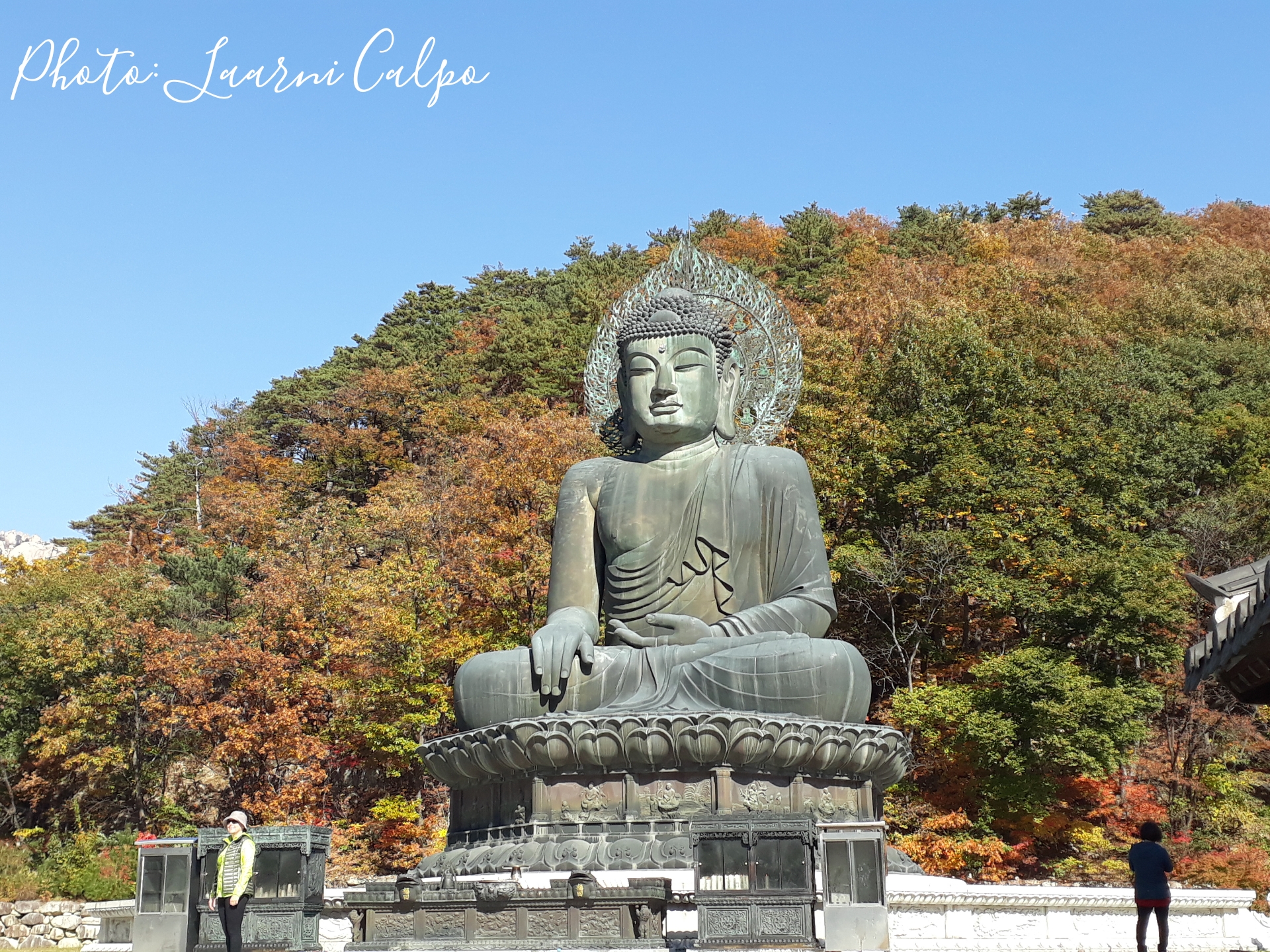 The great unification buddha. 