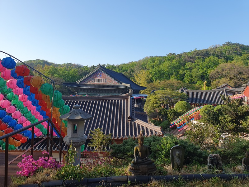 This view of Hwagyesa Temple is from the stone statue of Mireuk, the Korean term for Maitreya. (Cao Thi Ha).