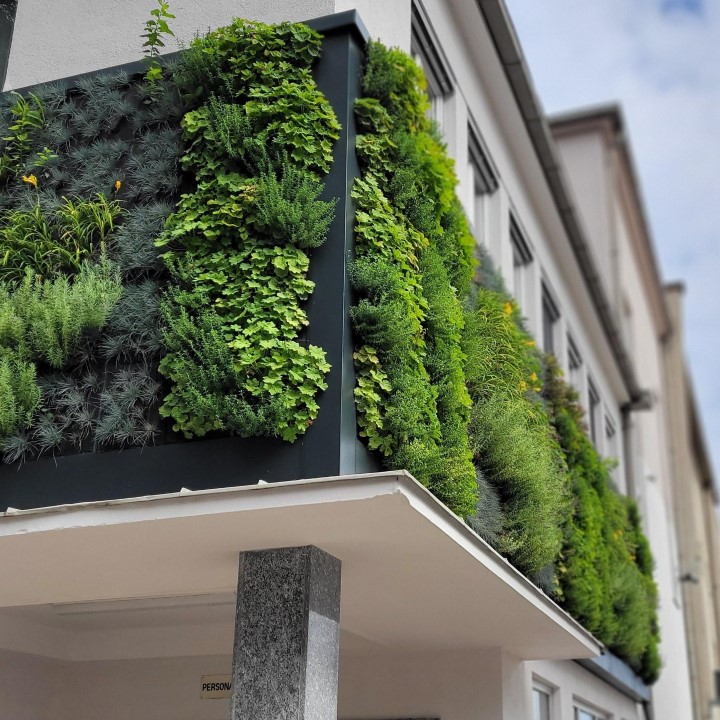 These vertical gardens are part of a global R&D project of Eureka. (Eureka's official website)