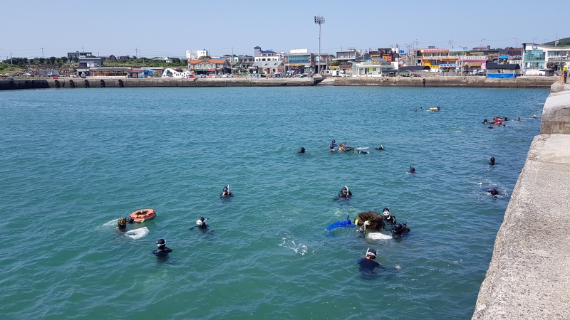 Free divers on June 2 collect marine debris at Cheonjin Port in the township of Udo-myeon in Jeju City, Jeju Island. (Kim Hyelin)