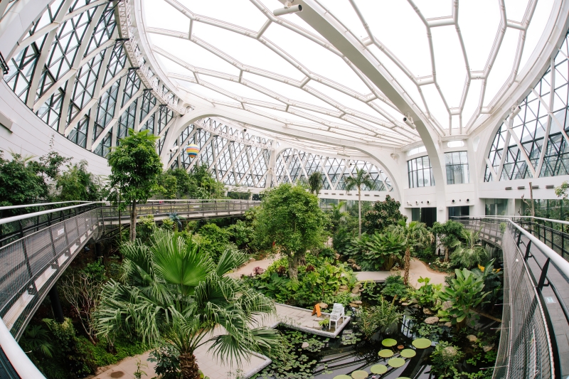 Interior of greenhouse room at Seoul Botanic Park