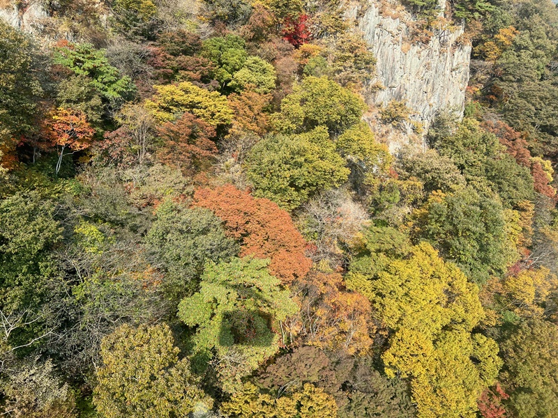 This view of fall foliage on Naejangsan Mountain on Oct. 26 is from a cable car. 