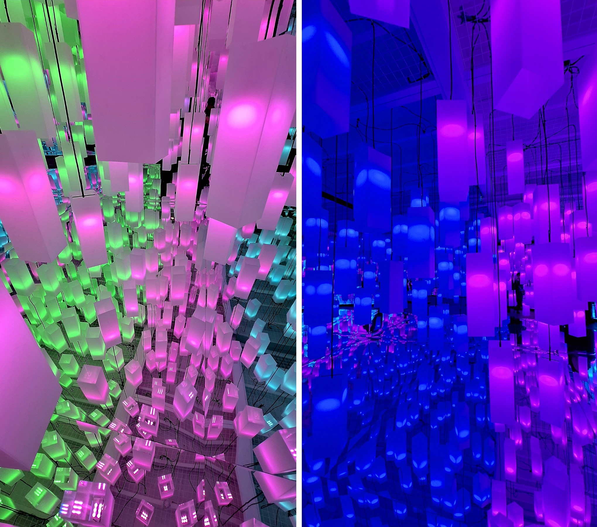 The exhibit 