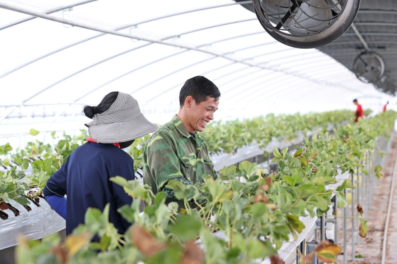 The Ministry of Justice on Feb. 25 announced a pilot program to run through year's end to allow the parents of foreign students in the country to work as seasonal laborers. (Imsil-gun County Office)