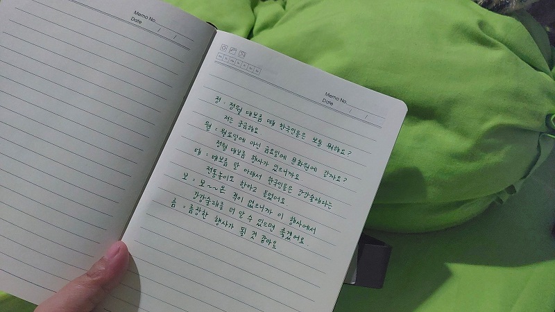 The ohaengsi I composed was about my curiosity about Jeongwol Daeboreum and ganggangsullae (women's circle dance).