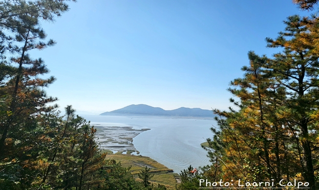 This is a view of Suncheonman Bay Wetland Reserve in Suncheon, Jeollanam-do Province. (Oct.31, 2023) 