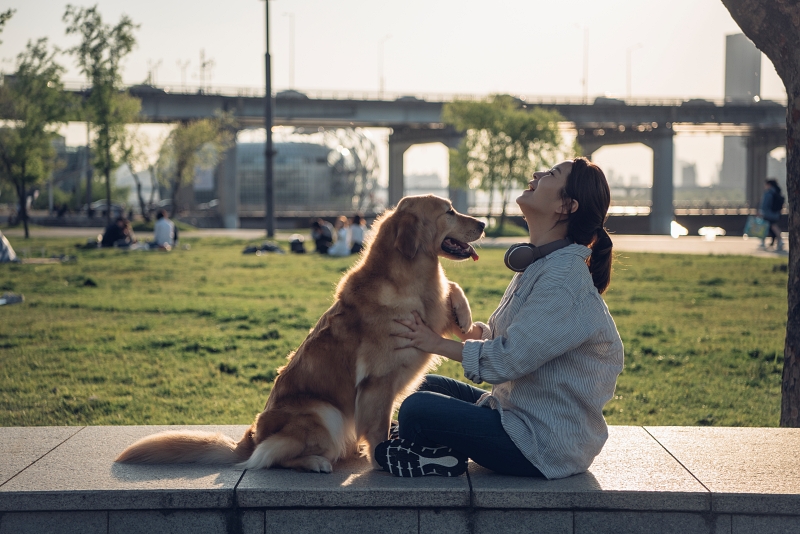 KB Financial Group Research Institute in June last year released a report on animal companions in the country saying 5.52 million households comprising 12.62 million owned pets in late 2022. (iclickart) *[Unauthorized reproduction and redistribution of the above photo is strictly prohibited under copyright laws and regulations.] 