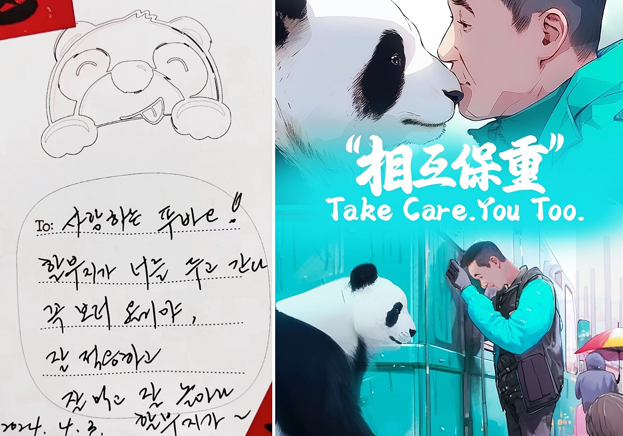 On the left is a letter written by zookeeper Kang Cher-won, Fu Bao's closest handle, while staying in China. On the right is a post about Kang and the giant panda on Ipanda, an online social media channel run by the public network China Central Television, aka CCTV. (Muyue Qinglan Hostel's Xiaohongshu account and Ipanda's official Instagram account)
