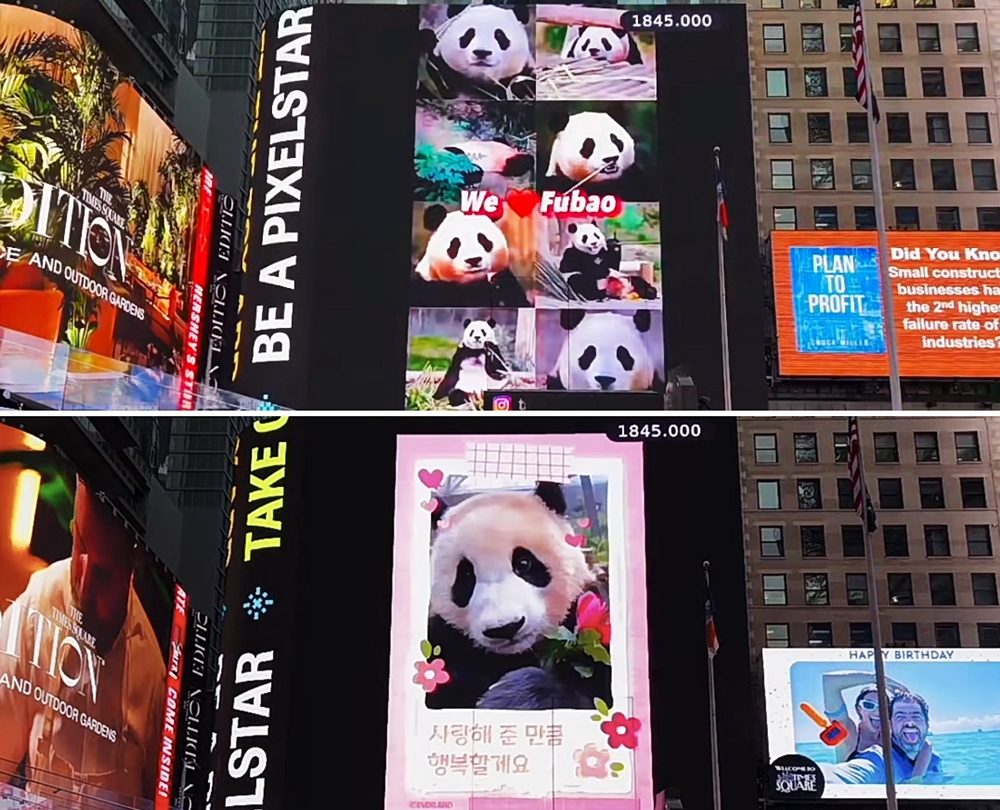 A video of Fu Bao on April 9 appears on electronic billboards at New York's Time Square. The ads were paid for by a fan of the giant panda and Fu Bao's Japanese fans helped with the photos and videos. (Screen capture from TSX Livestream)