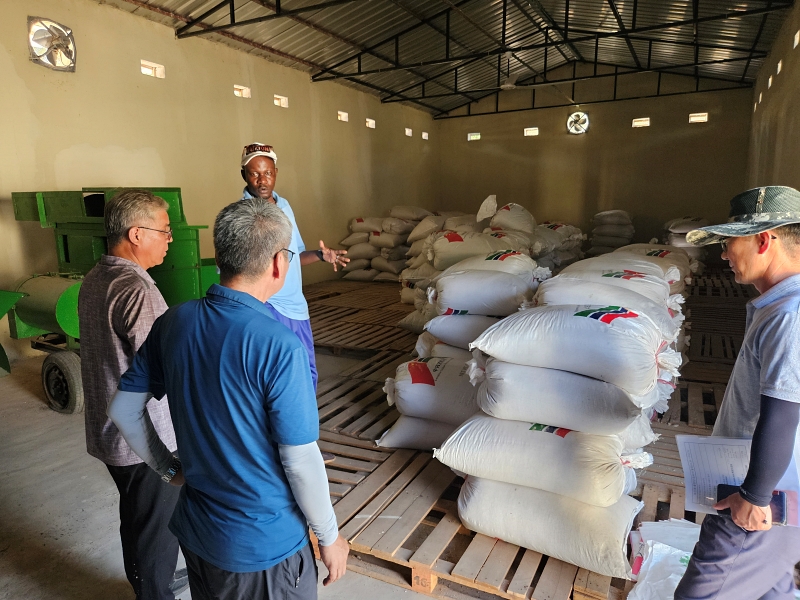 The scale of the nation's official development assistance (ODA) last year jumped 11.4% from 2022 to a tentative figure of USD 3.13 billion (4.4 trillion won). Seen is an inspection of rice seeds produced in Gambia under the K-Rice Belt project, part of ODA from the Korean government. (Ministry of Agriculture, Food and Rural Affairs)