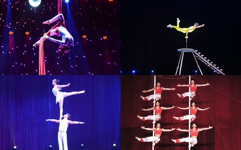 Clockwise from top left are aerial circus, one-handed stair climbing, twin bars and circus ballet.