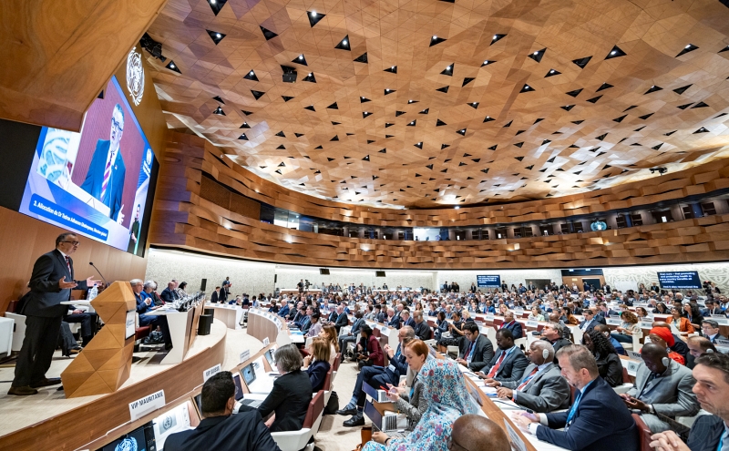 Korea has been reelected to the World Health Organization (WHO) Executive Board a year after its previous term ended. Shown are participants at this year's World Health Assembly on May 27 in Geneva, Switzerland. (WHO) style=