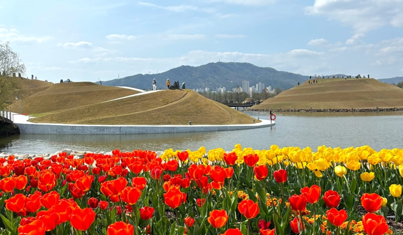 Suncheonman National Garden and Suncheonman Wetland in Suncheon, Jeollanam-do Province, had the most number of visitors among tourist attractions in the nation. Shown are tulips at the garden in April last year. (Garden's official Facebook page)