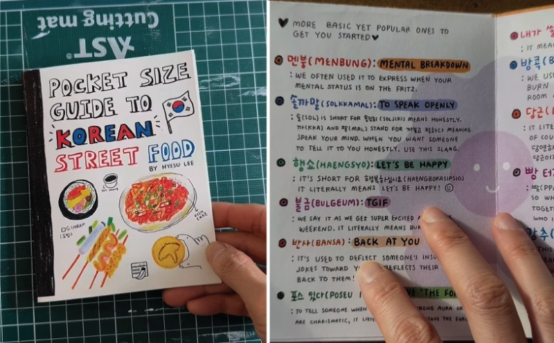 Pocket Size Guide to Korean Street Food (left), and Pocket Size Guide to Korean Slang Words (right).