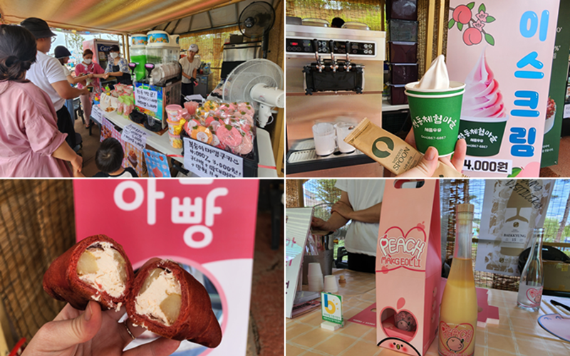 The Jochiwon Peach Festival featured food made from peaches. From left clockwise are a peach dessert corner at Acorn Park; peach ice cream; makgeolli (milky rice wine) and salt bread.