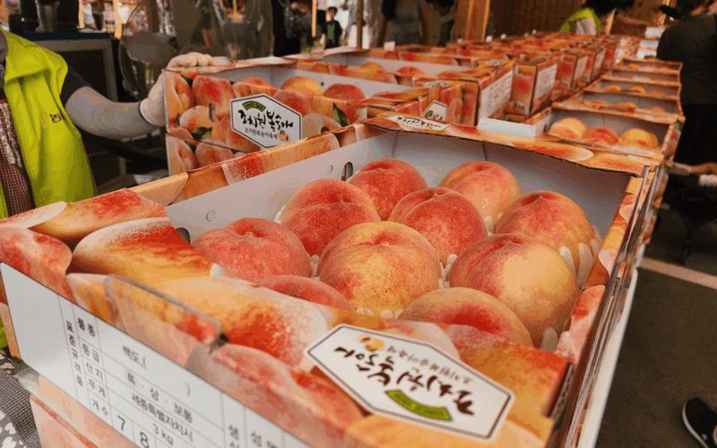 This year's Jochiwon Peach Festival was held from July 26-28 in the town of Jochi-eup in Sejong, the event's 22nd edition since its debut in 2003 with venues including Sejong People's Field and Acorn Park. With a government agricultural agency that is today's Rural Development Administration launched in 1908 in the town heralding the start of the fruit's cultivation there, the region boasts 116 years of peach know-how.