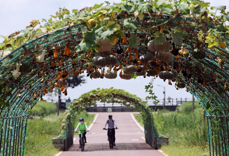 Two people ride bicycles on Aug. 7, the day of Ipchu, or the 13th of the 24 solar terms under the lunar calendar that traditionally marks the start of fall, at Haneul Park in Seoul's Mapo-gu District. 