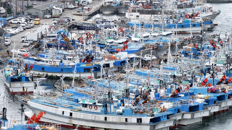 Fishing boats were moved to shelter at Seogwipo Port on Jeju Island on the morning of Aug. 20, after Typhoon Jongdari began heading north toward the Korean Peninsula.
