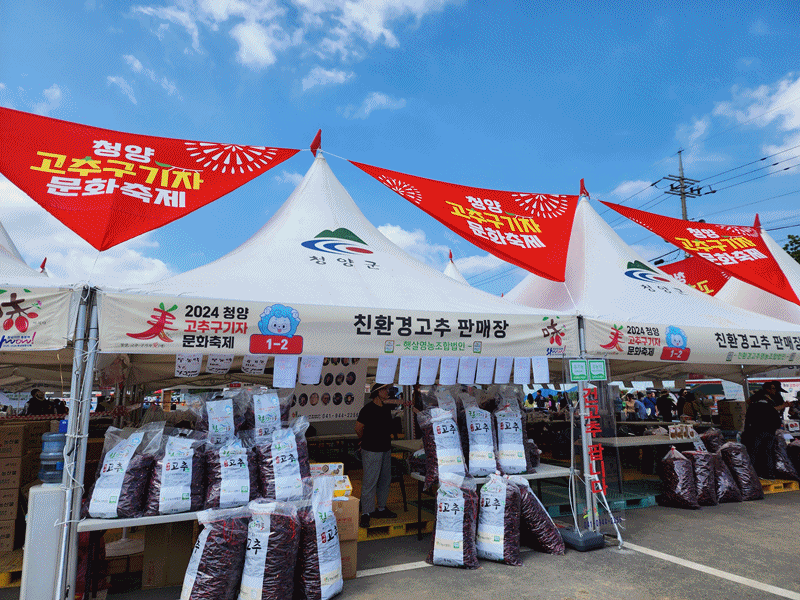 The 25th Cheongyang Pepper and Wolfberry Festival was held from Aug. 30 to Sept. 1 at Baekse Health Park in Cheongyang-gun County, Chungcheongnam-do Province. Cheongyang chili pepper is one of the country's spiciest. Developed by Yoo Il-Woong at a domestic farm lab in 1983, this chili pepper is named after the names of the two counties, Cheongsong and Yeongyang, in Gyeongsangbuk-do Province. 