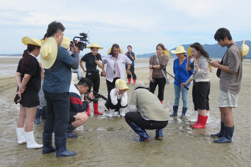 Foreign media personnel on Sept. 25 listen to a guide about getbol (tidal flat) at Gochang Getbol in Gochang-gun County, Jeollabuk-do Province. 