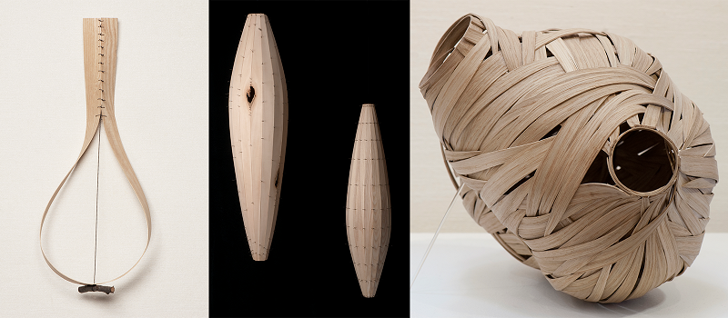 The sculptures mimicking natural structures like hives and seed pods are crafted from materials including ash, steel wire, reclaimed wood, and oak.