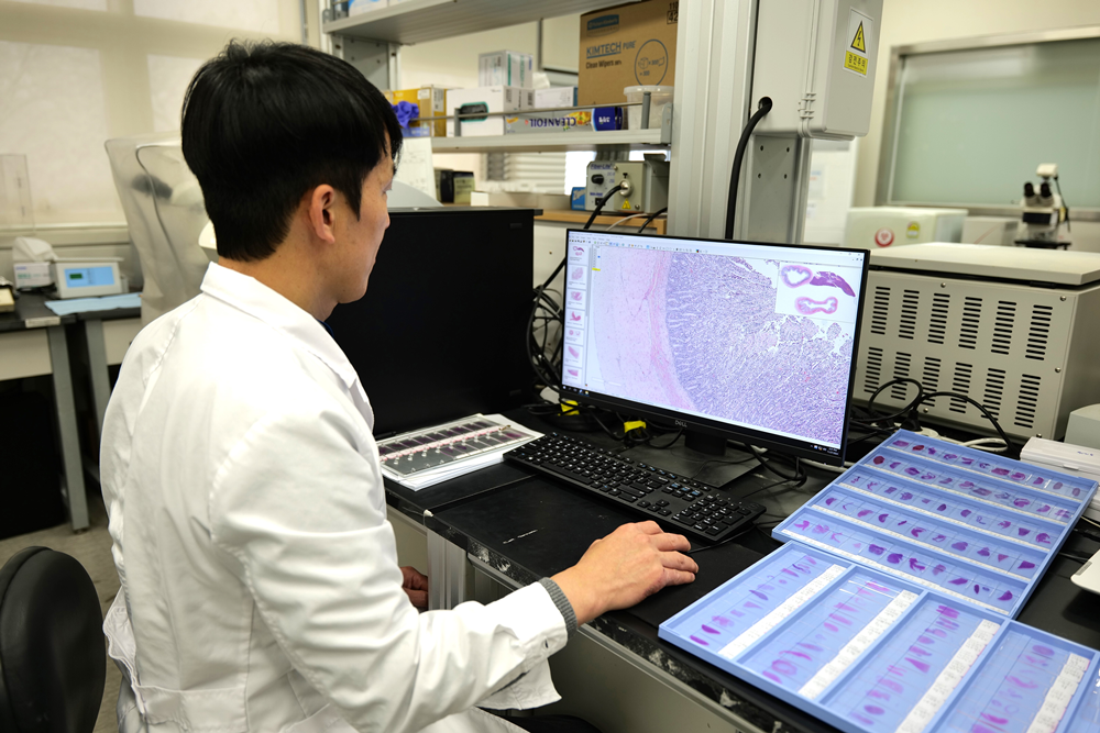 A researcher of veterinary forensics works at the Seoul Research Institute of Public Health and Environment. (Seoul Metropolitan Government)
