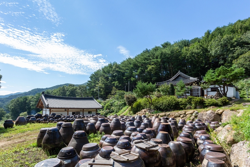 What completes hongdoenjang (red soybean paste) is time. Shown is earthenwar clay jars storing such paste under the clear air and sunshine of Jirisan Mountain. 