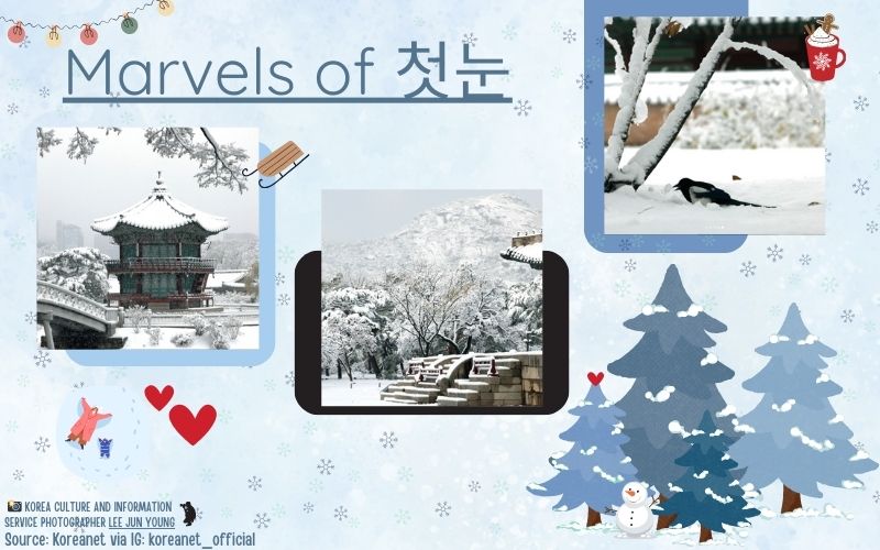 Images of the first snow on November 27th, pictures shown in the image were shared by Koreanet’s official Instagram account and were taken by Lee Jun Young. Made by Daniela Delgado on Canva.