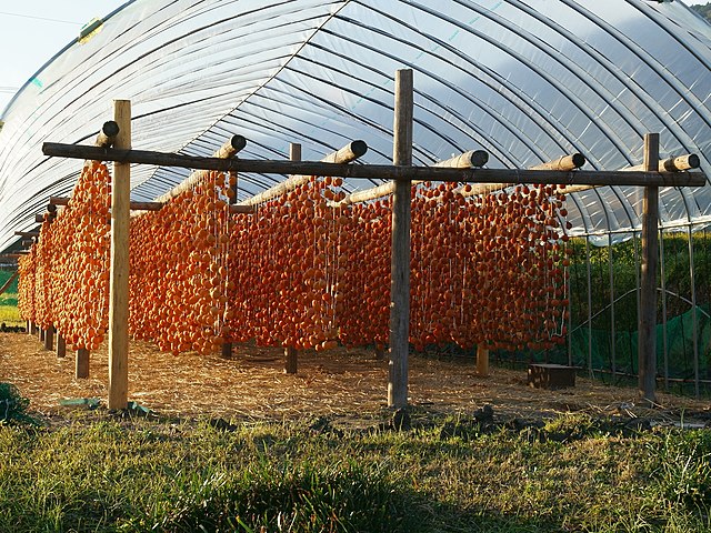 Drying racks for make dry persimmon