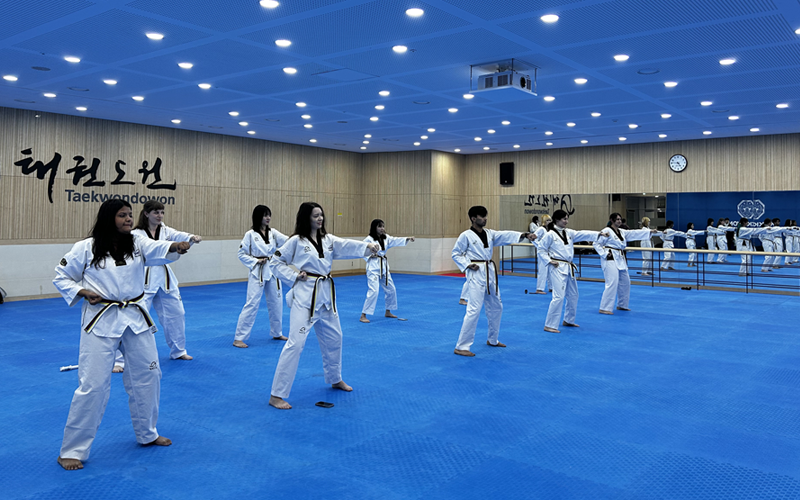 Training healing taekwondo gymnastics in Taekwondowon 