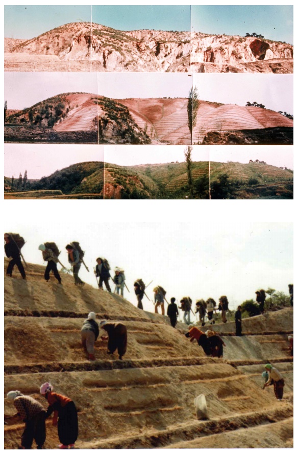 These photos from 1973-77 show the reforestation of Yeongilman Port in Pohang, Gyeongsangbuk-do Province.