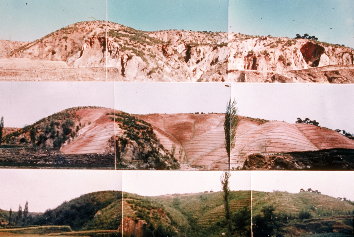 These photos show the restoration of trees in the Yeongilman Bay area of Pohang, Gyeongsangnam-do Province, from 1973-77 as part of reforestation records inscribed on UNESCO's Memory of the World Register. (Korea Heritage Service)  
