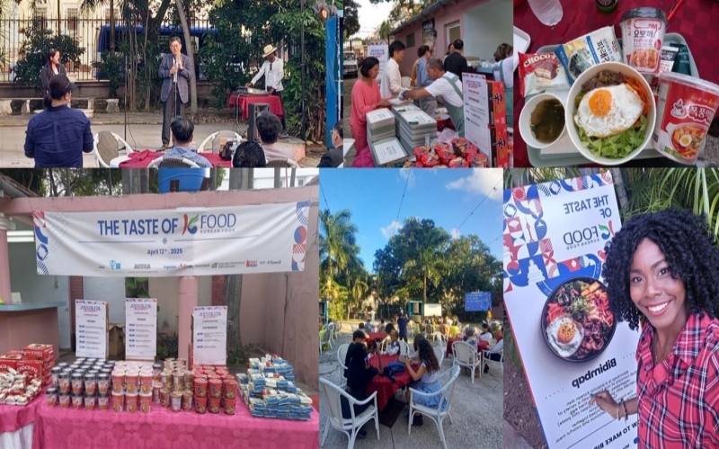 I participated in the “Taste of K-Food” festival to sample popular Korean dishes such as bibimbap (spicy rice with mixed vegetables), seaweed soup, tteokbokki (spicy stir-fried rice cake) and choco pie on April 12, the final day of the event. 