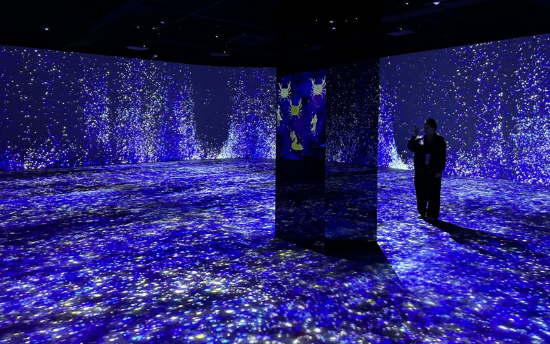 The media art exhibition 