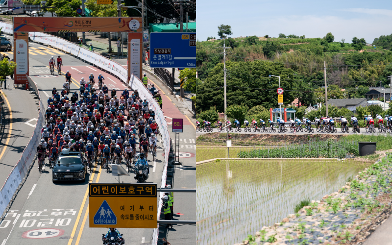 220 cyclists from 16 countries begin their Stage 1 race in Tongyeong (left) and traverse the terraced rice fields during Stage 4 in Namhae (right). 