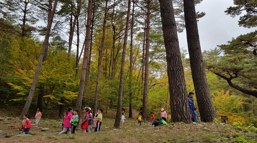 The Food and Agriculture Organization of the United Nations has named as a GIAHS the Pinetree Agroforestry System in Uljin-gun County, Gyeongsangbuk-do Province. (Ministry of Agriculture, Food and Rural Affairs)