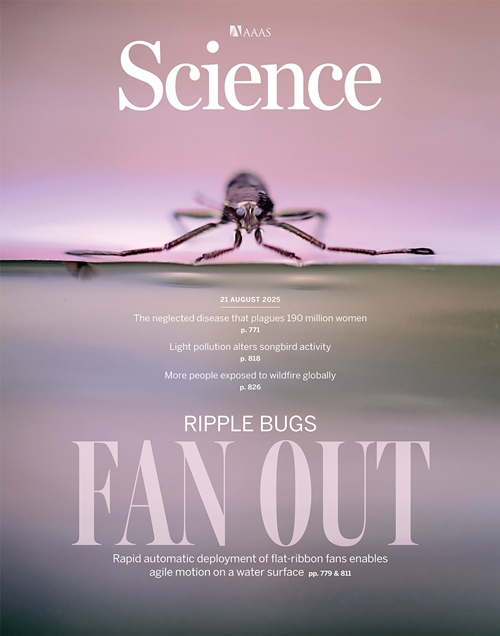 A research team led by Koh Je-Sung, a professor of mechanical engineering at Ajou University in Suwon, Gyeonggi-do Province, has identified the movement mechanism of ripple bugs (rhagovelia) and developed an uber-small robot based on this. This study made the cover of the Aug. 21 edition of the academic journal Science. (Science)  